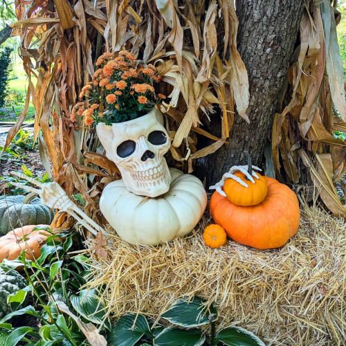 Vibrant fresh flower display