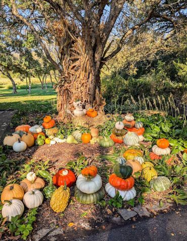 Textured floral arrangement