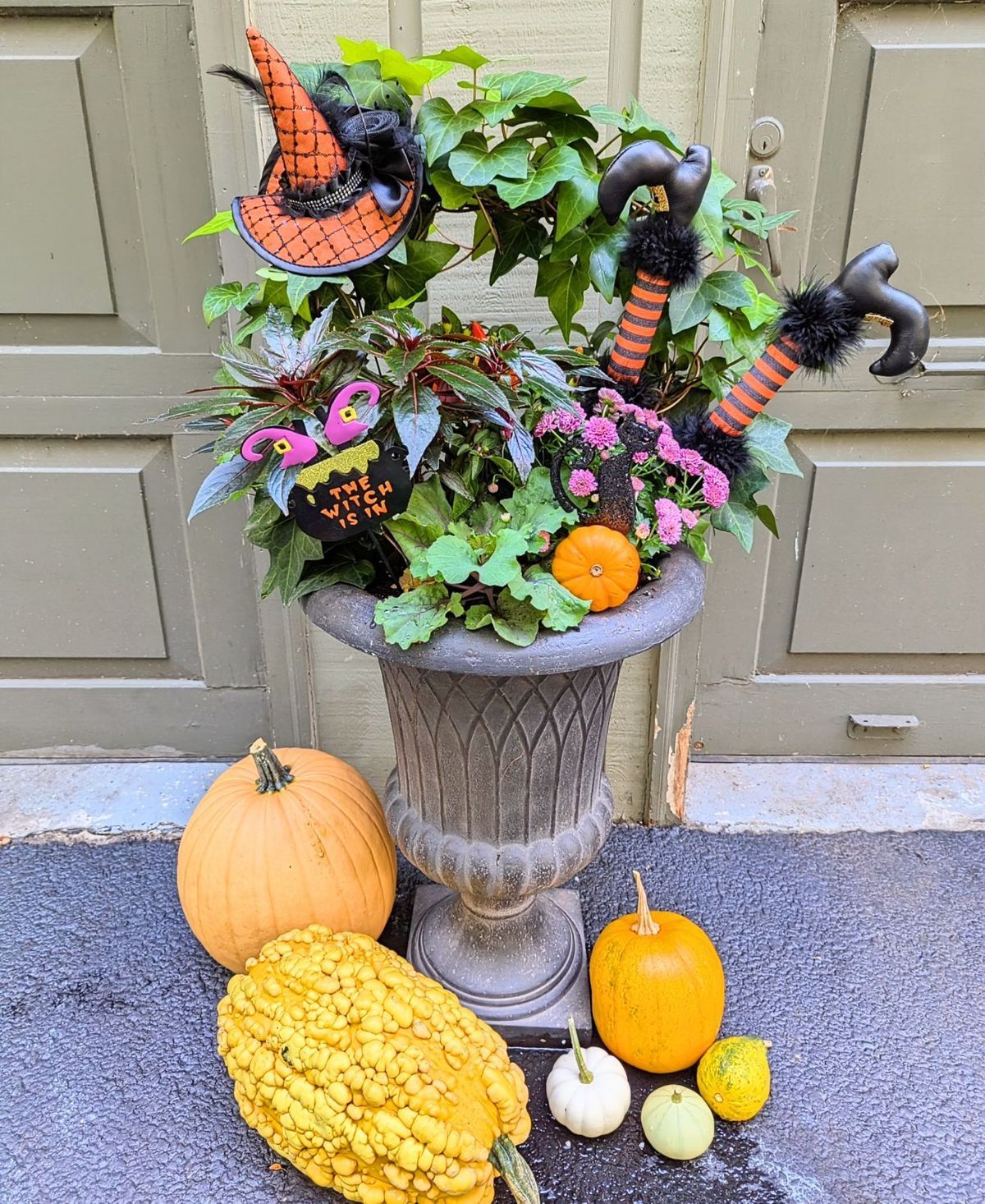 Container garden with textured greenery