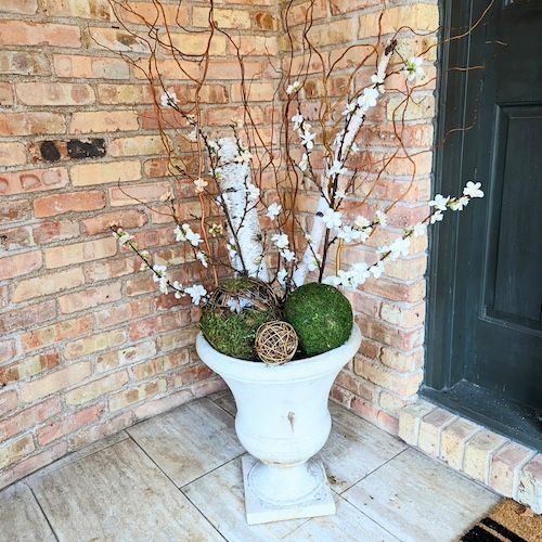 Mixed succulent and foliage planter