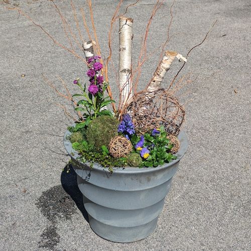 Lush planter with ornamental grasses