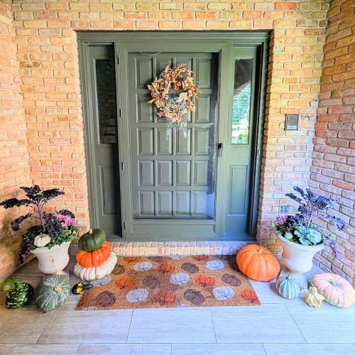 Compact planter with mixed annuals