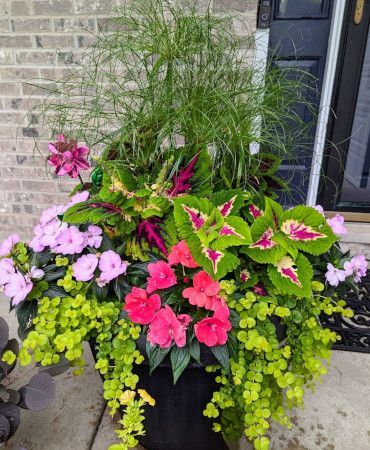 Seasonal planter refresh
